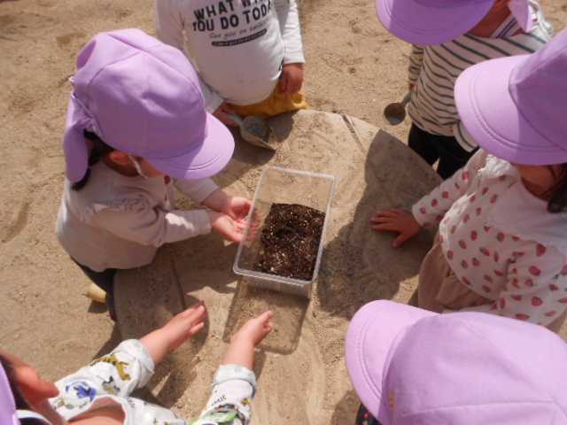 好きなもの、見つけた！（3歳）