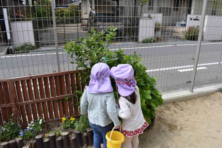 かとう主任の☆ピックアップガーデン②🌸☆