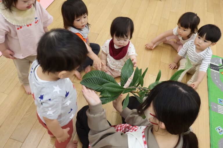 びわを買いに行きました～前編～(1歳児)