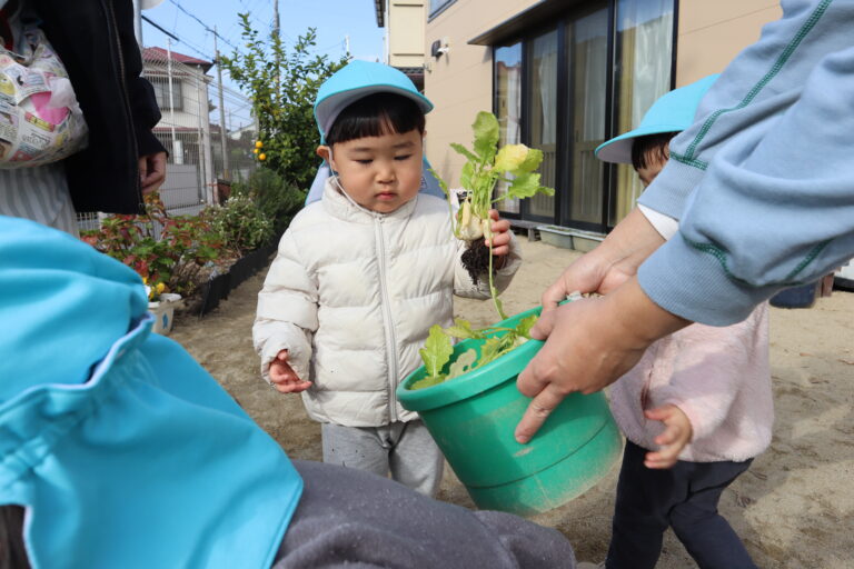かぶ出来た！（1歳児）